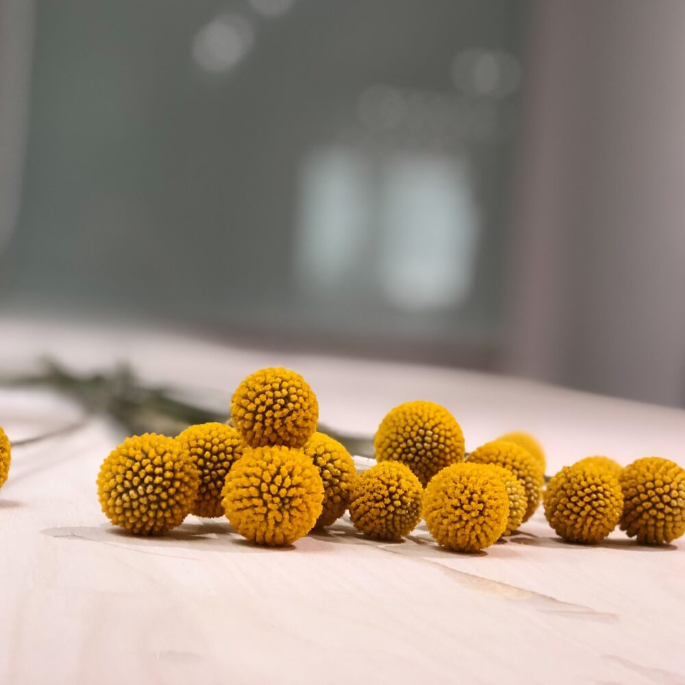 20190916-img_5037-crop