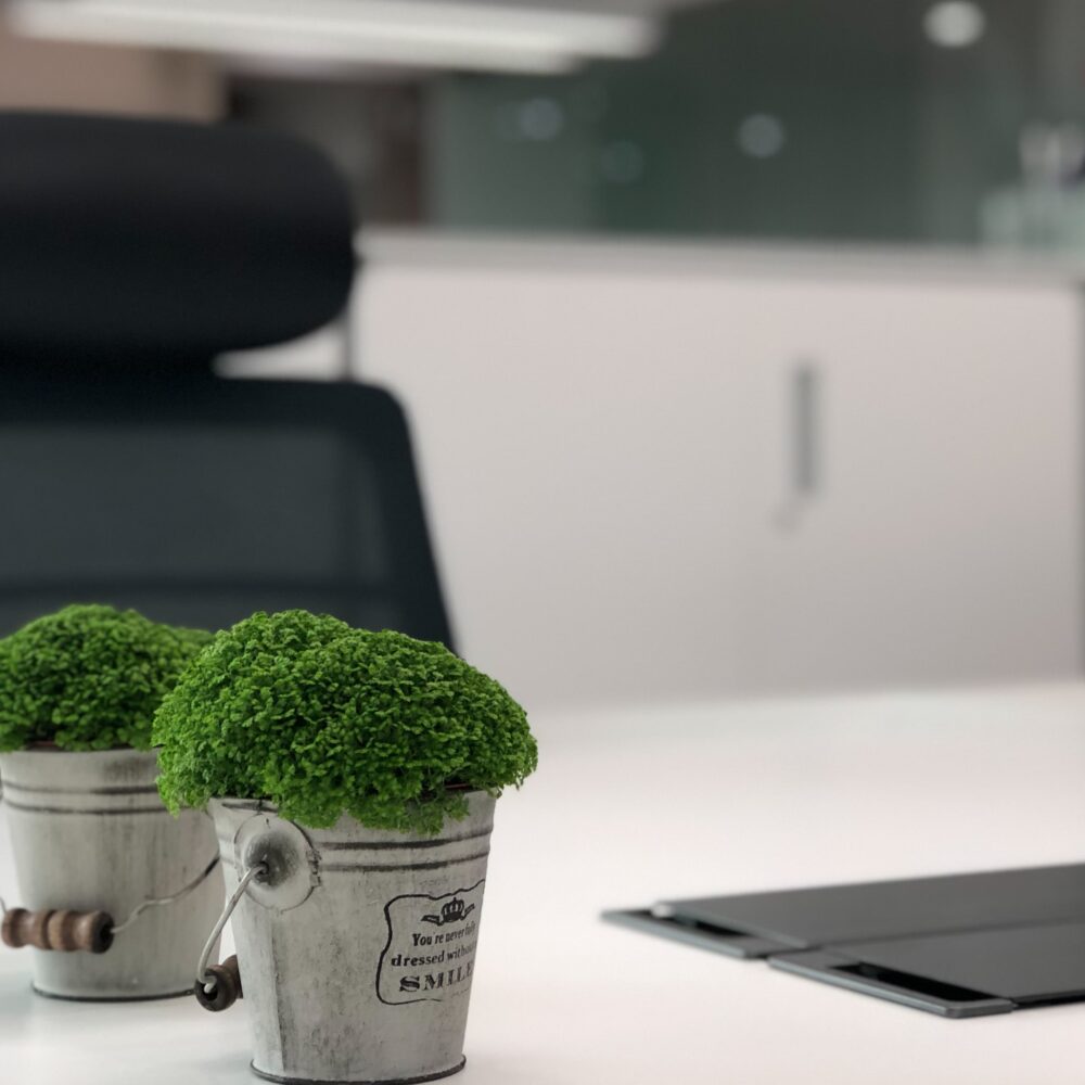 20190916-img_5090-crop